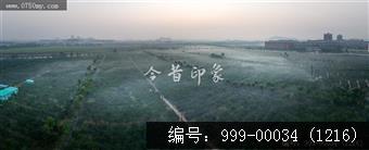 柑田