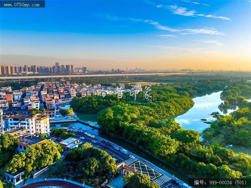 小鸟天堂_航拍,小鸟天堂,旅游民俗