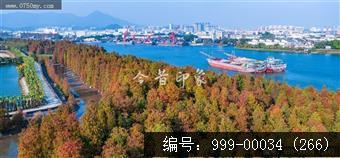 南坦