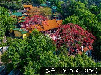 玉台寺