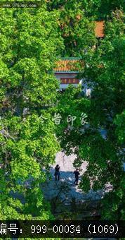 玉台寺
