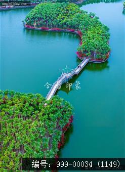 葵湖