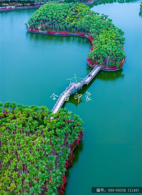 葵湖_航拍,人居环境