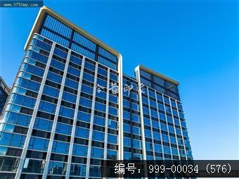 枢纽新城