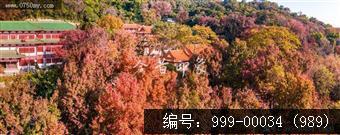 玉台寺