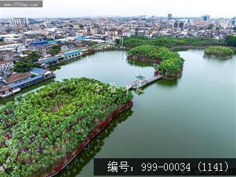 葵湖