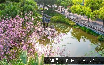 北园花园
