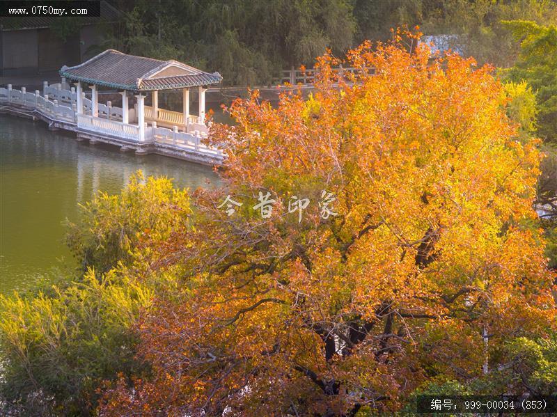 玉湖_航拍,玉湖,旅游民俗