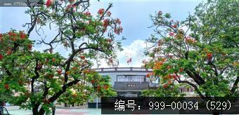 崖门