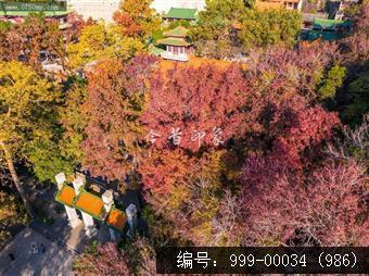 玉台寺