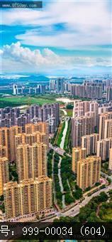 枢纽新城
