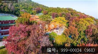 玉台寺
