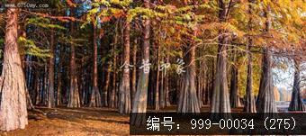 南坦