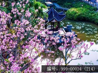 北园花园