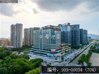 枢纽新城
