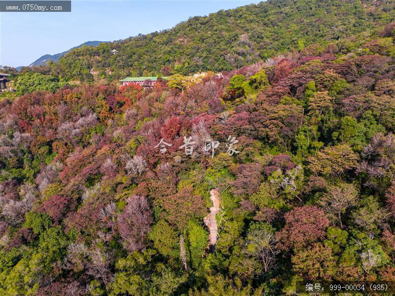 玉台寺_航拍,圭峰山,玉台寺