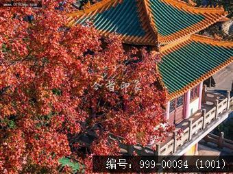 玉台寺