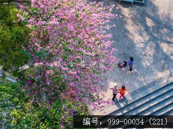 北园花园