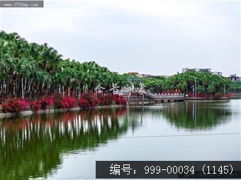 葵湖