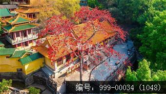 玉台寺