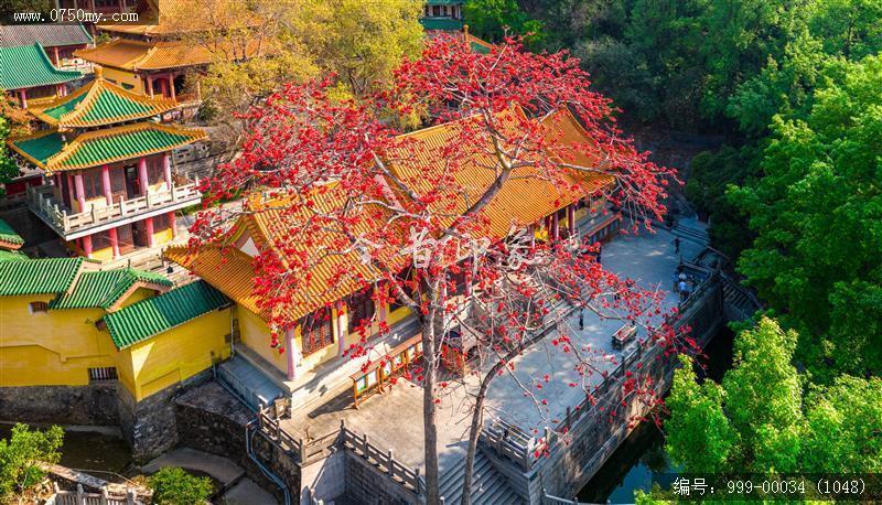 玉台寺_航拍,圭峰山,玉台寺