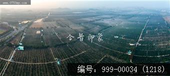 柑田