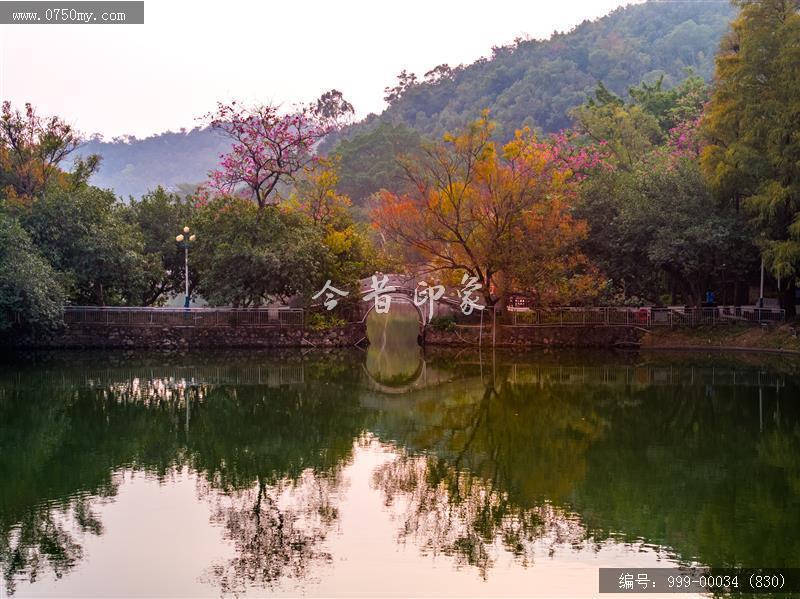 玉湖_航拍,玉湖,旅游民俗