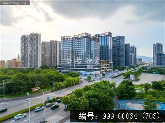 枢纽新城