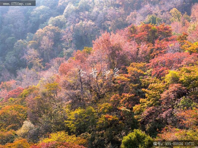 玉台寺_航拍,圭峰山,玉台寺