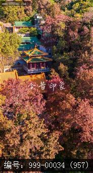 玉台寺