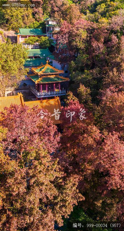 玉台寺_航拍,圭峰山,玉台寺
