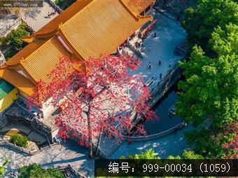 玉台寺