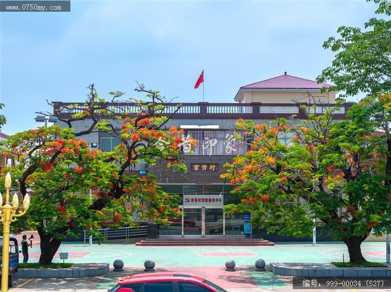 崖门_航拍,美丽乡村