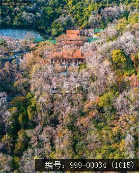 玉台寺