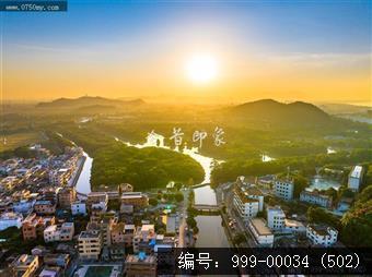 小鸟天堂