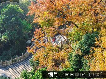 玉台寺