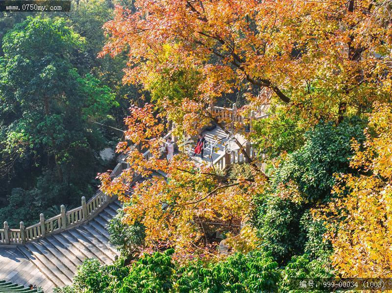 玉台寺_航拍,圭峰山,玉台寺