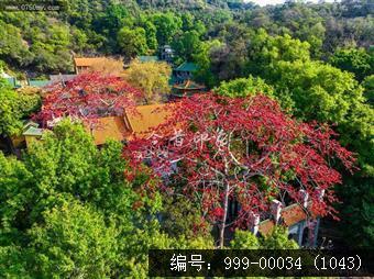 玉台寺