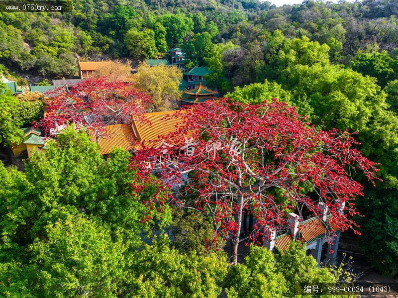 玉台寺_航拍,圭峰山,玉台寺