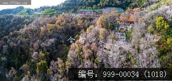 玉台寺