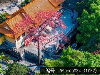 玉台寺