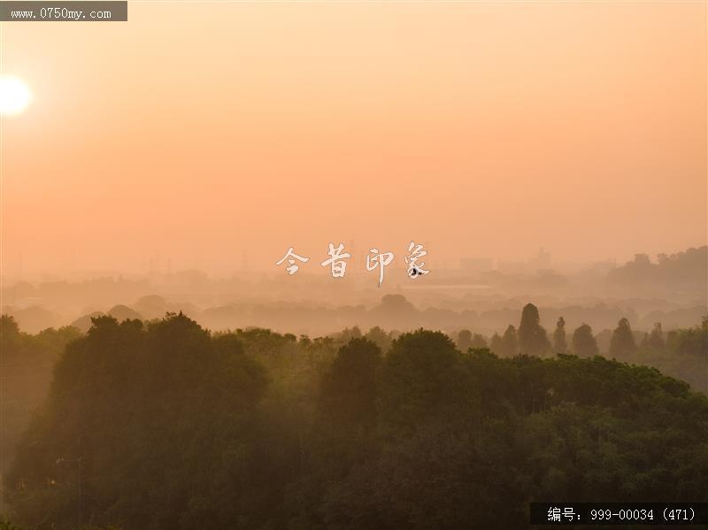 小鸟天堂_航拍,小鸟天堂,旅游民俗