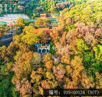 玉台寺