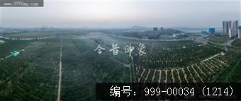 柑田