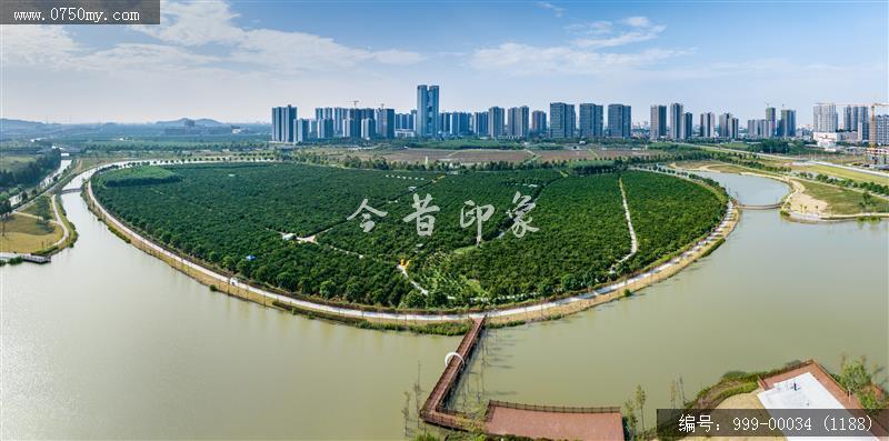 柑田_航拍,农业