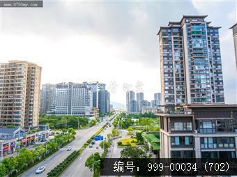 枢纽新城