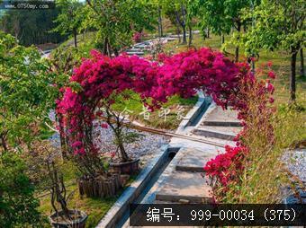 绿护屏