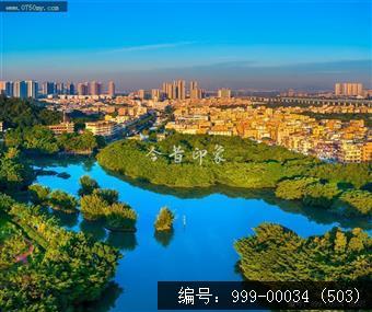 小鸟天堂