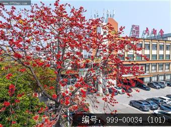 会城城区