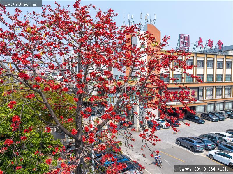 会城城区_航拍,城市景色